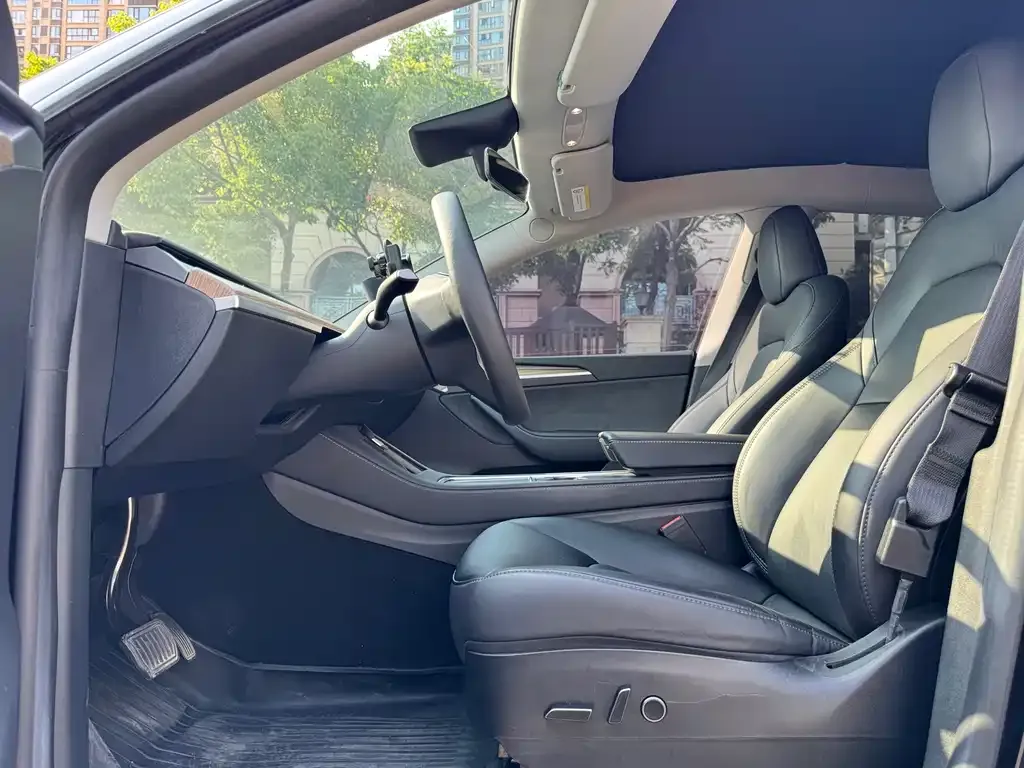 Tesla Model Y — фото 8