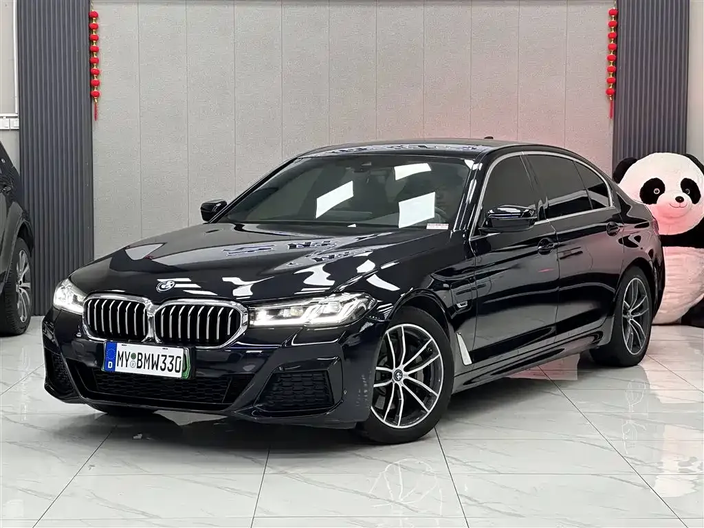 BMW 5 Series New Energy
