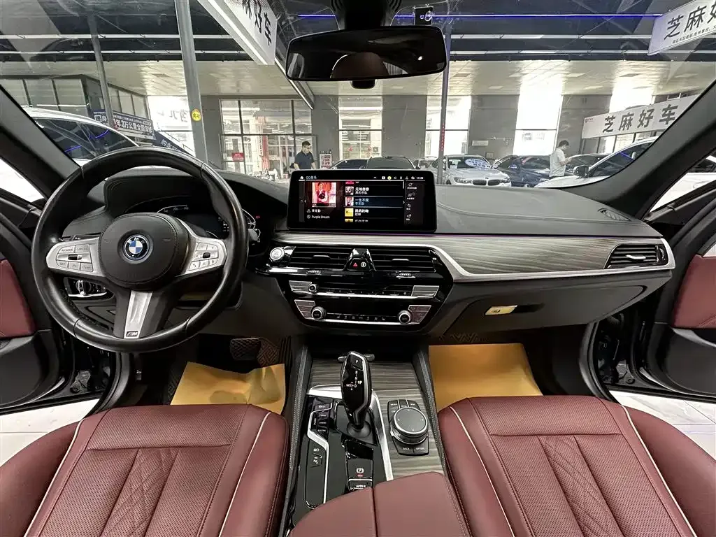 BMW 5 Series New Energy 2023 из CN, фото 9