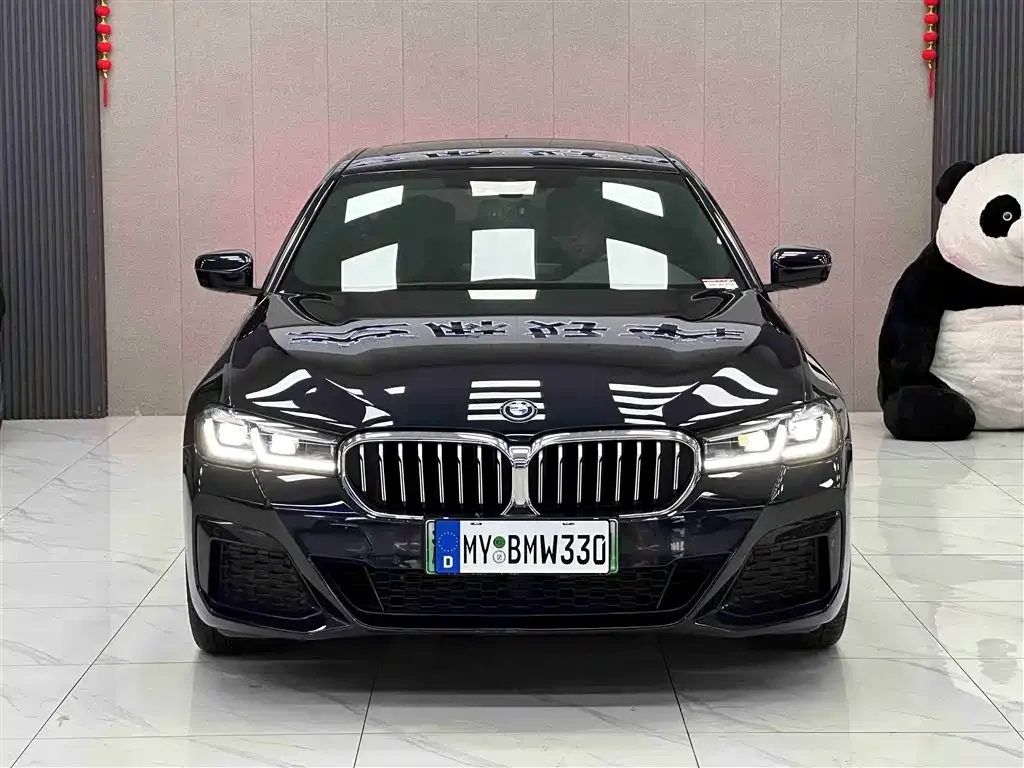 BMW 5 Series New Energy 2023 из CN, фото 5