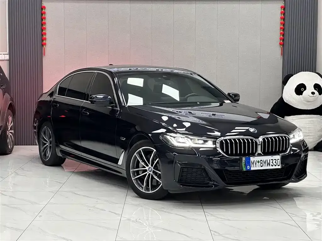 BMW 5 Series New Energy 2023 из CN, фото 2