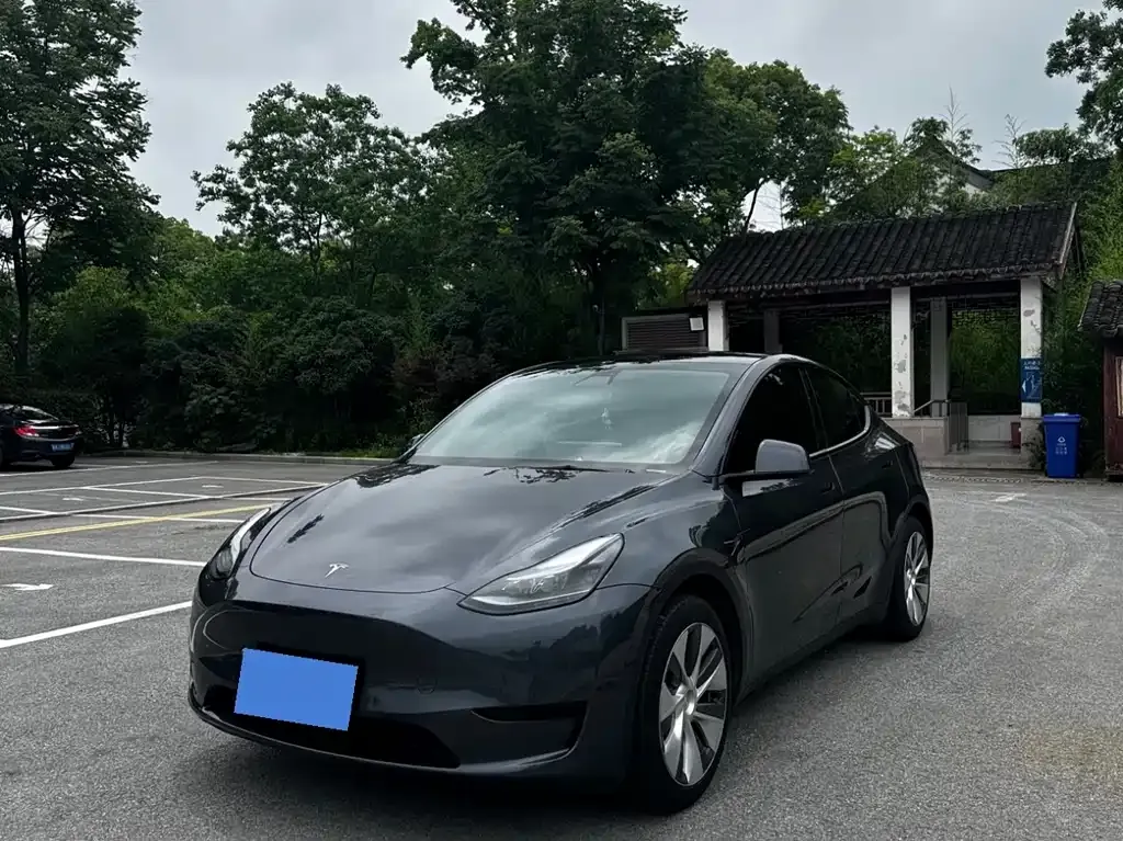 Tesla Model Y — фото 10
