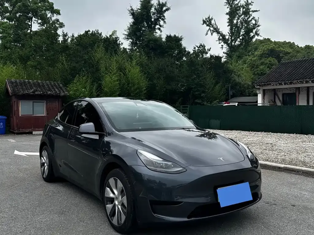 Tesla Model Y — фото 9