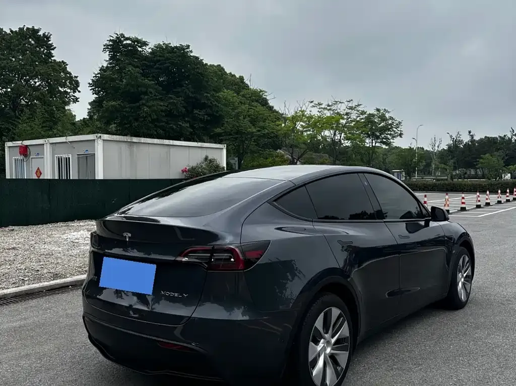 Tesla Model Y — фото 5