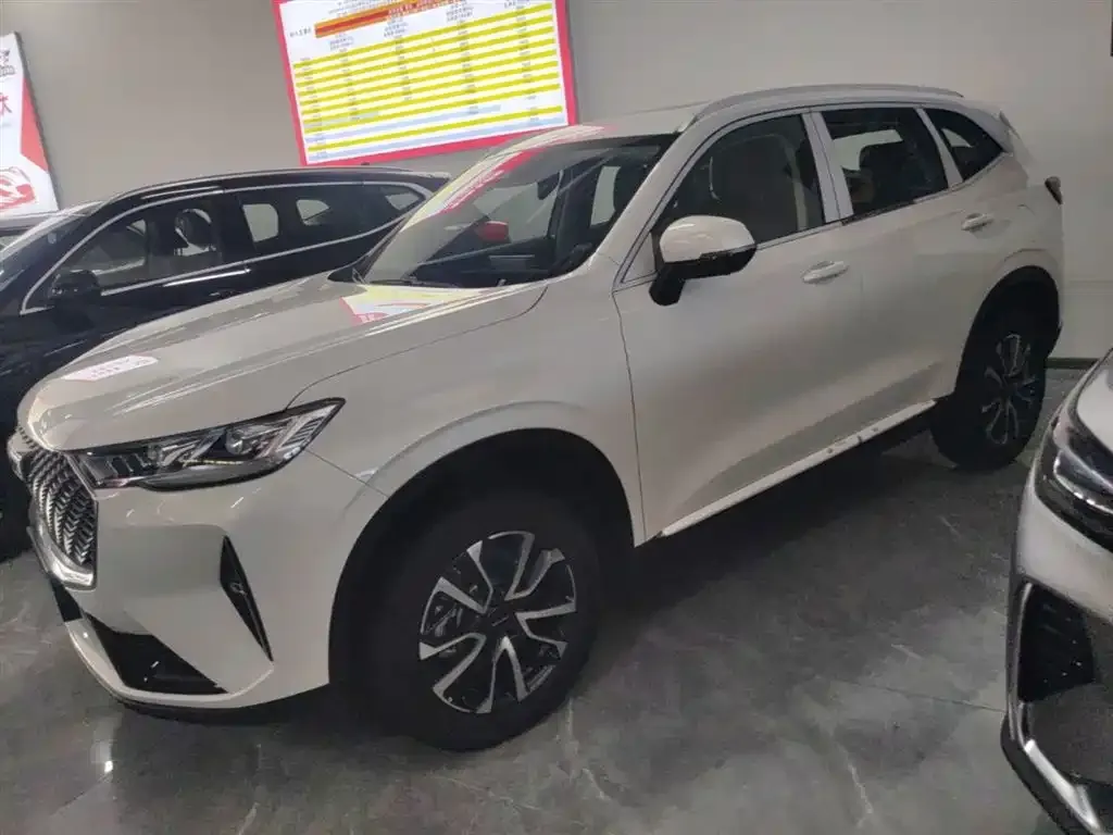 Haval H6 — фото 10