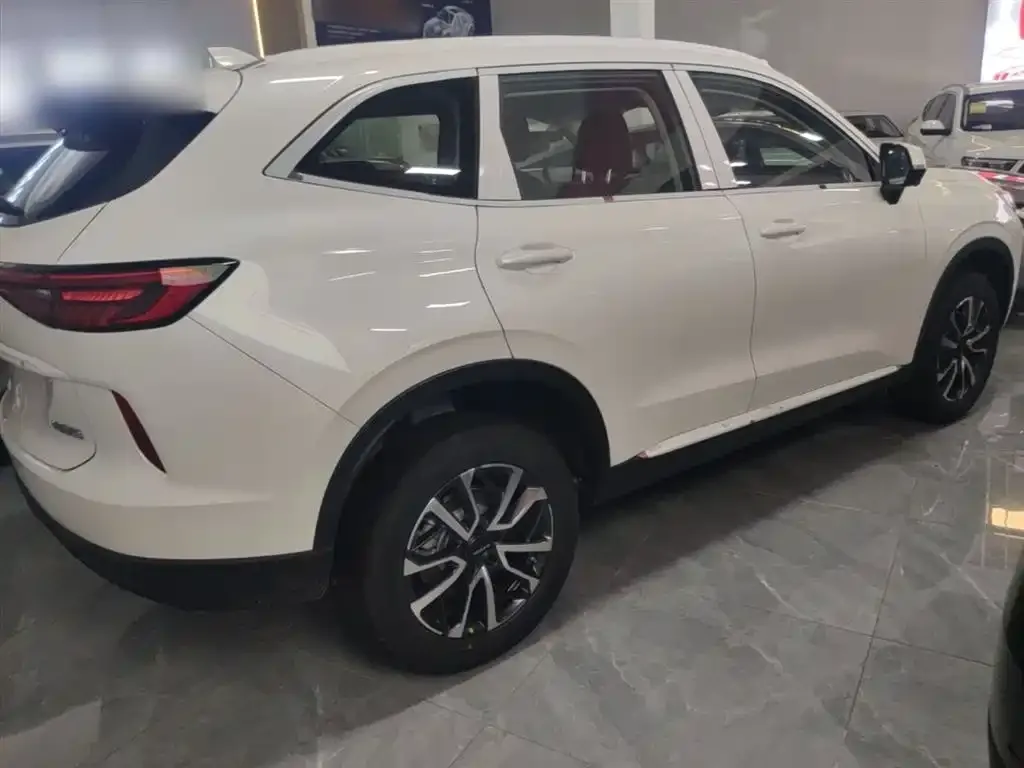 Haval H6 — фото 6