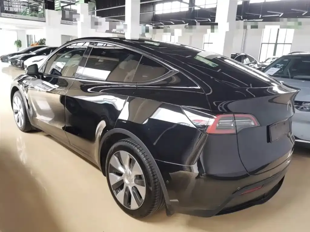 Tesla Model Y — фото 10