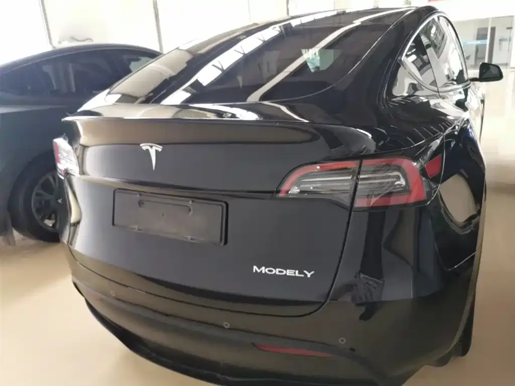 Tesla Model Y — фото 8