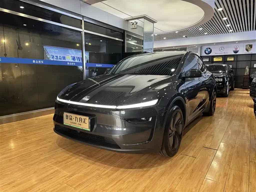 Tesla Model Y — фото 10