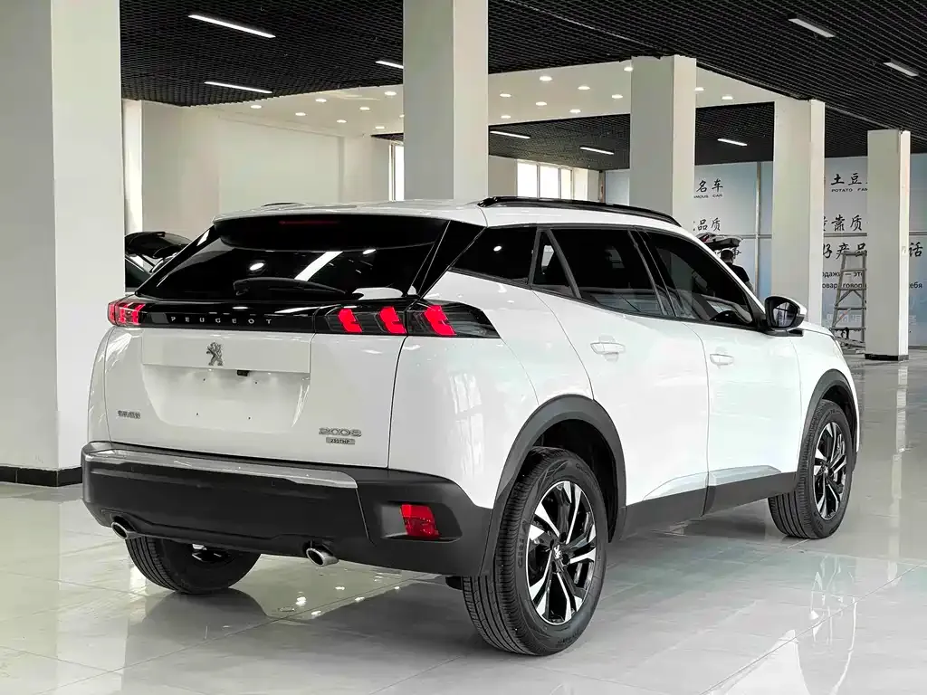 Peugeot 2008 2022 из CN, фото 10