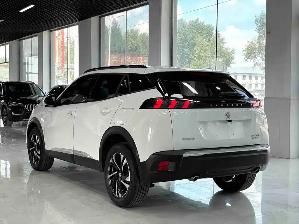 Peugeot 2008 2022 из CN, фото 7