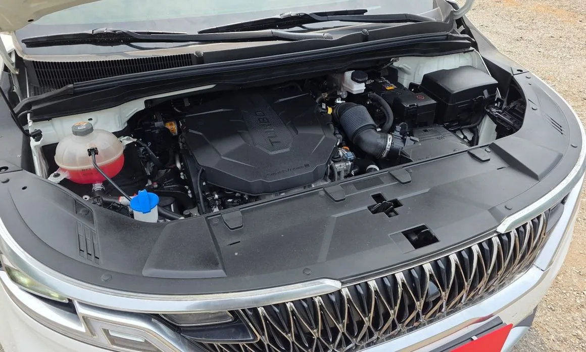 Kia Carnival — фото 10