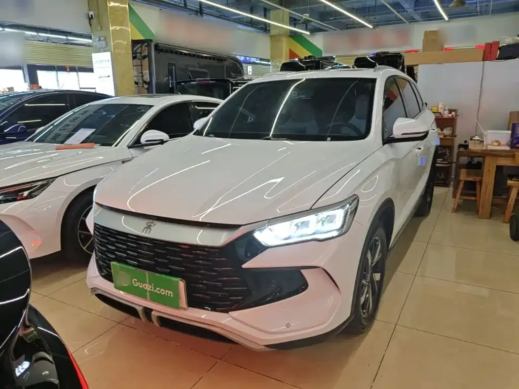 BYD Pro New Energy — фото 8
