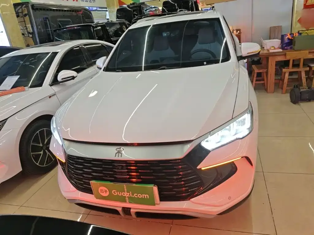 BYD Pro New Energy — фото 7