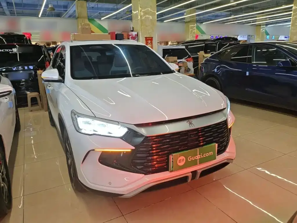 BYD Pro New Energy — фото 5