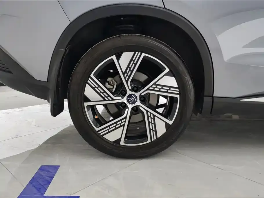BYD Pro New Energy — фото 2