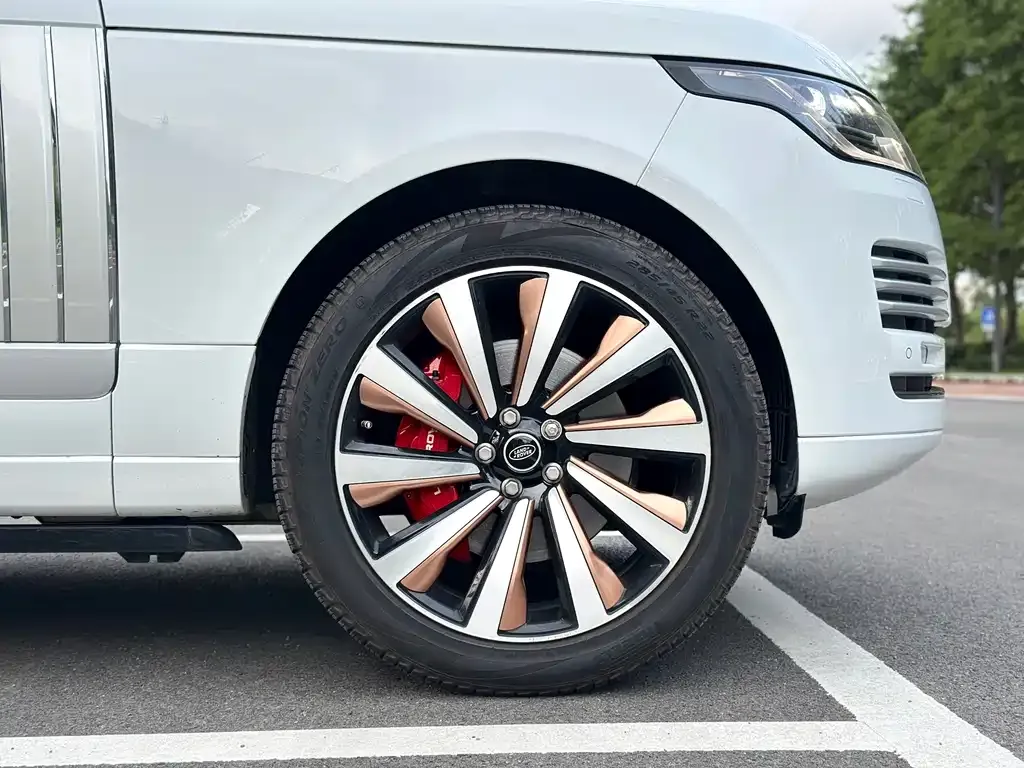 Land Rover Range Rover 2022 из CN, фото 7