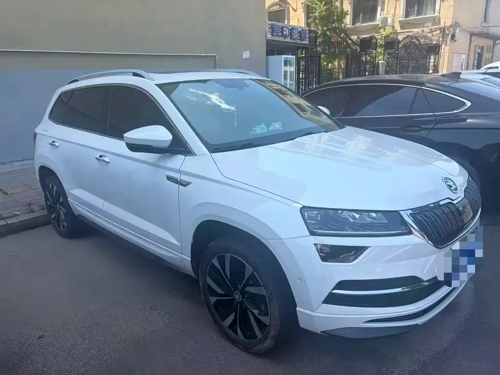 Skoda Karoq — фото 6