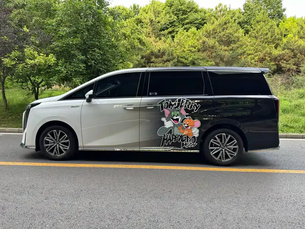 GAC Motor Trumpchi M8 — фото 10