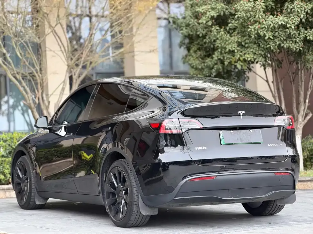 Tesla Model Y 2023 из CN, фото 2
