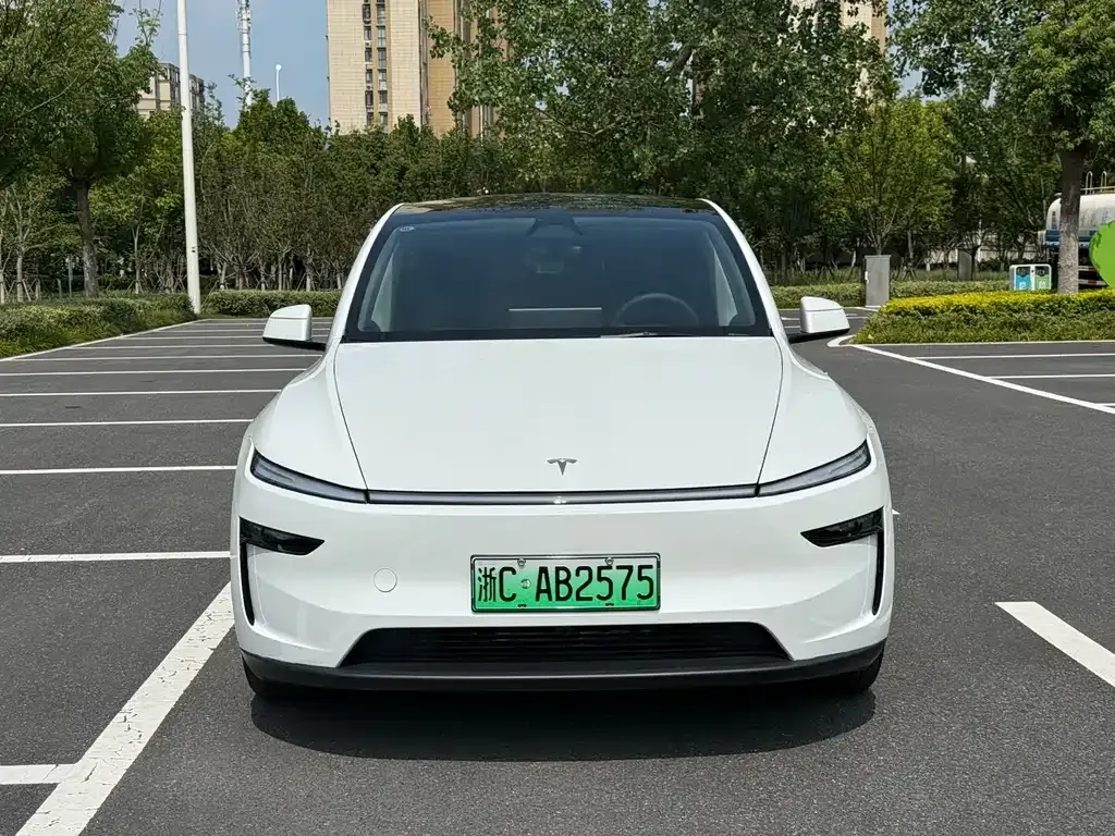 Tesla Model Y — фото 5