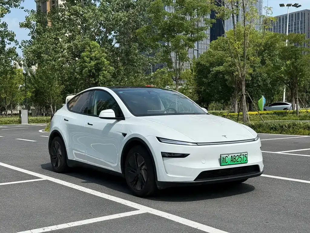 Tesla Model Y — фото 6