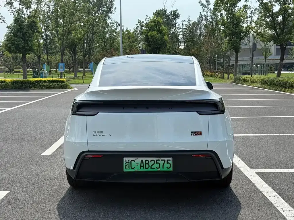 Tesla Model Y — фото 8