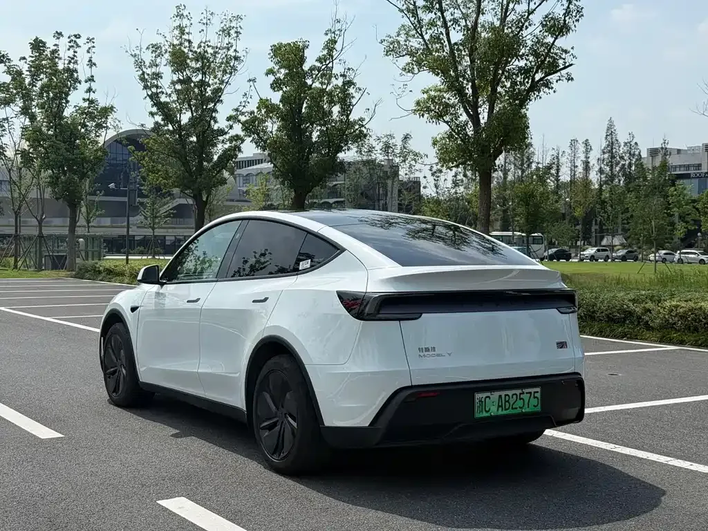 Tesla Model Y — фото 10