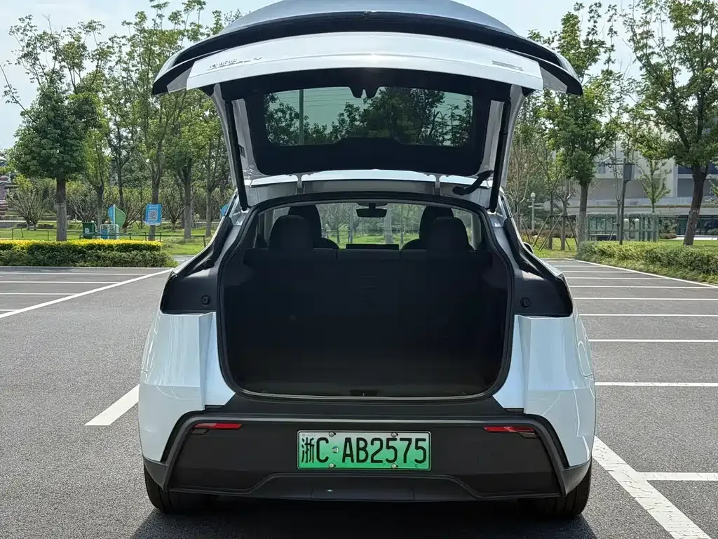 Tesla Model Y — фото 7
