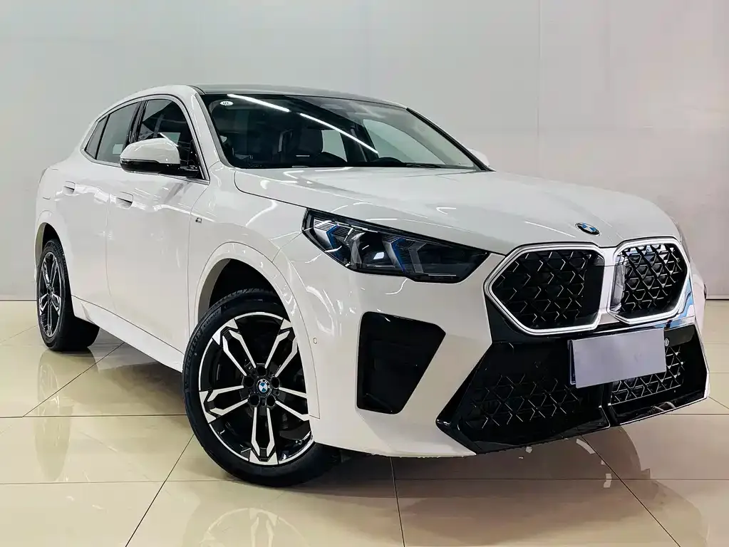 BMW X2 (Import) 2025 из CN, фото 4