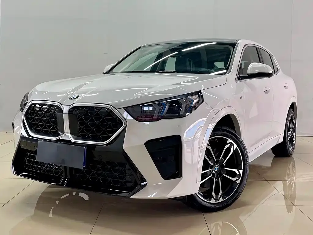 BMW X2 (Import) 2025 из CN, фото 6