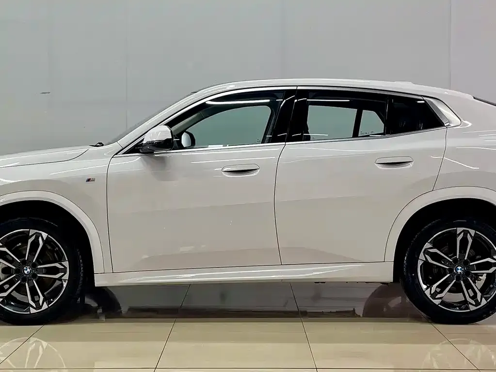 BMW X2 (Import) 2025 из CN, фото 9