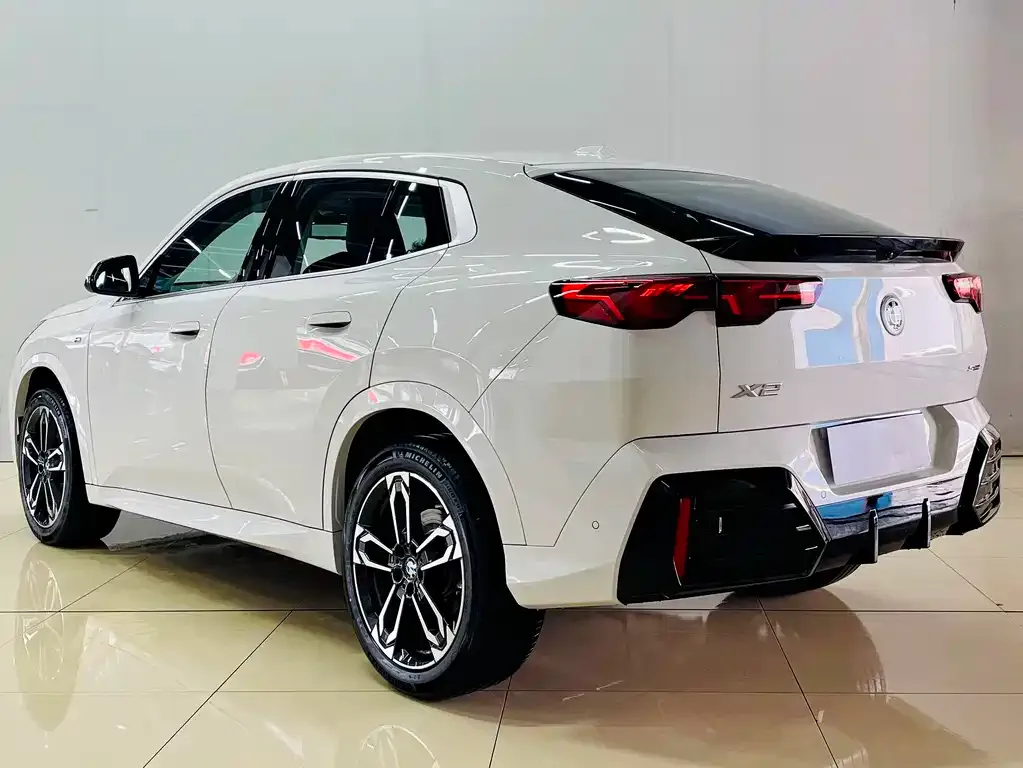 BMW X2 (Import) 2025 из CN, фото 10
