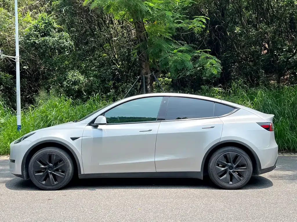 Tesla Model Y — фото 10
