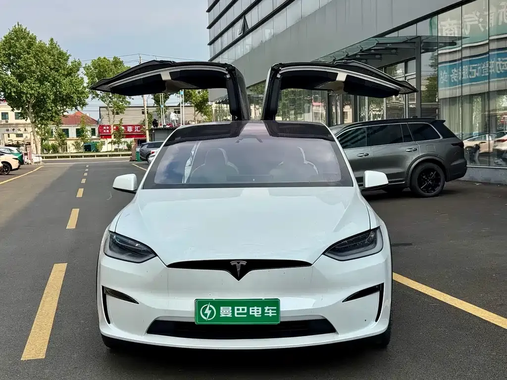 Tesla Model X 2024 из CN, фото 6