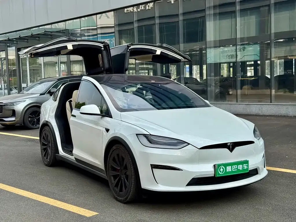 Tesla Model X 2024 из CN, фото 2