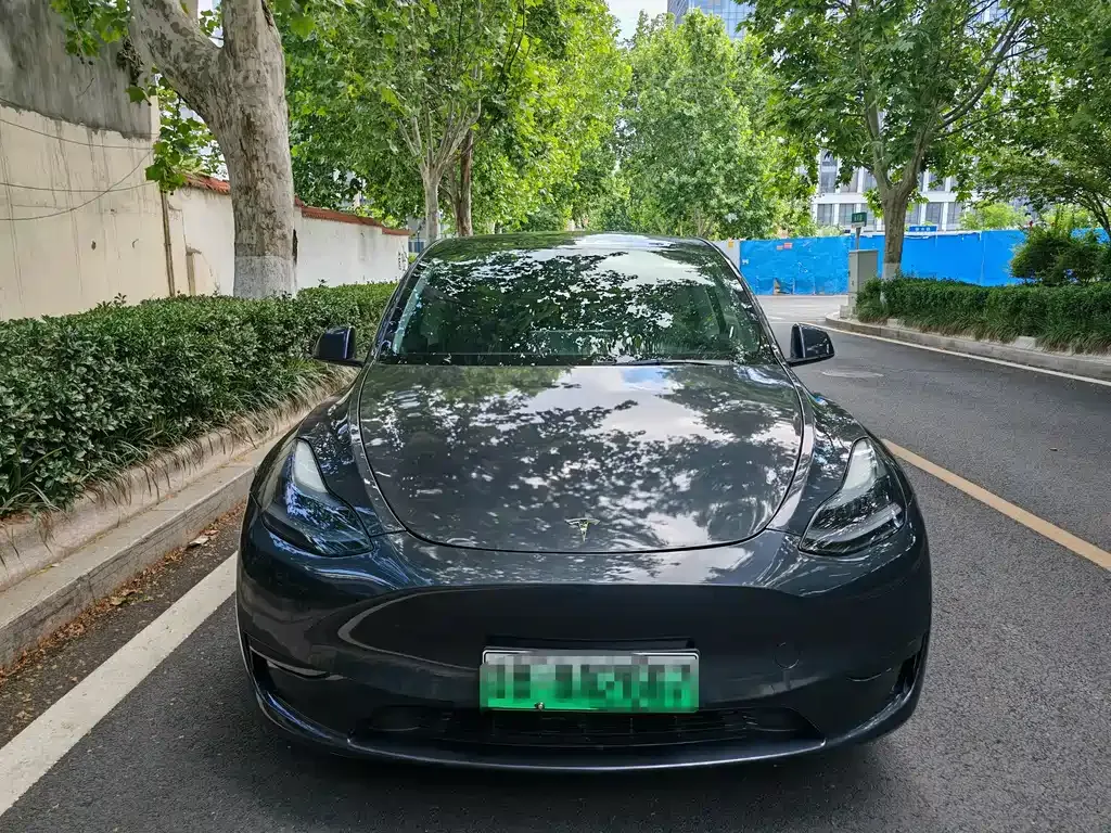 Tesla Model Y — фото 6