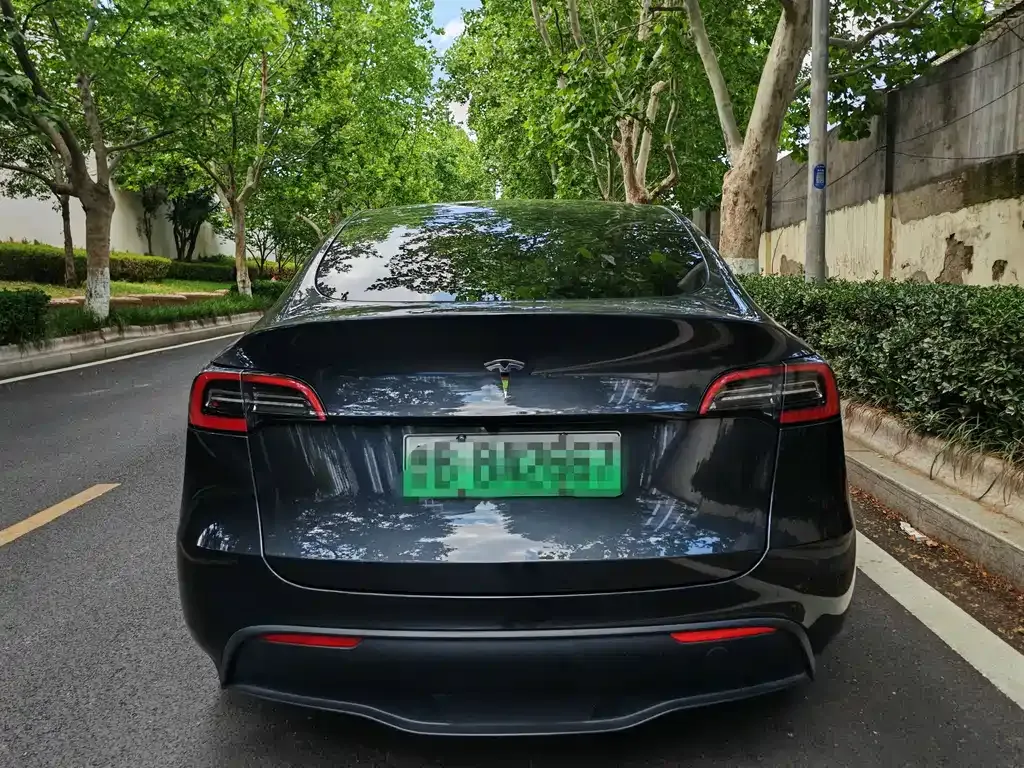 Tesla Model Y — фото 10