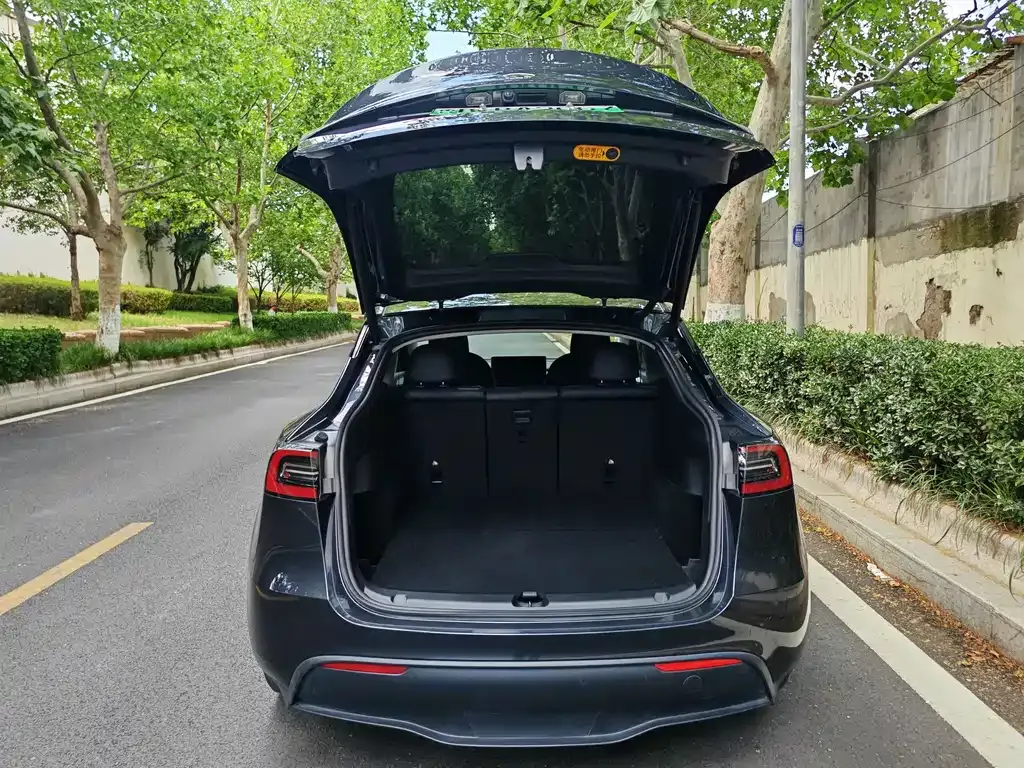 Tesla Model Y — фото 9