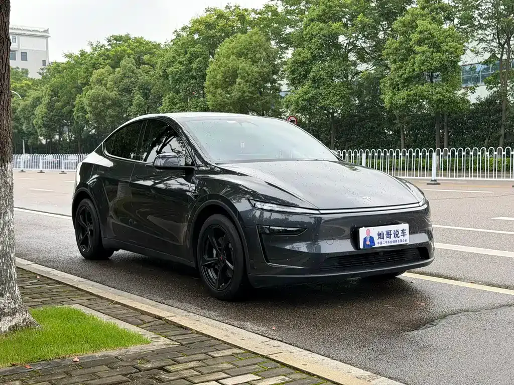 Tesla Model Y — фото 8