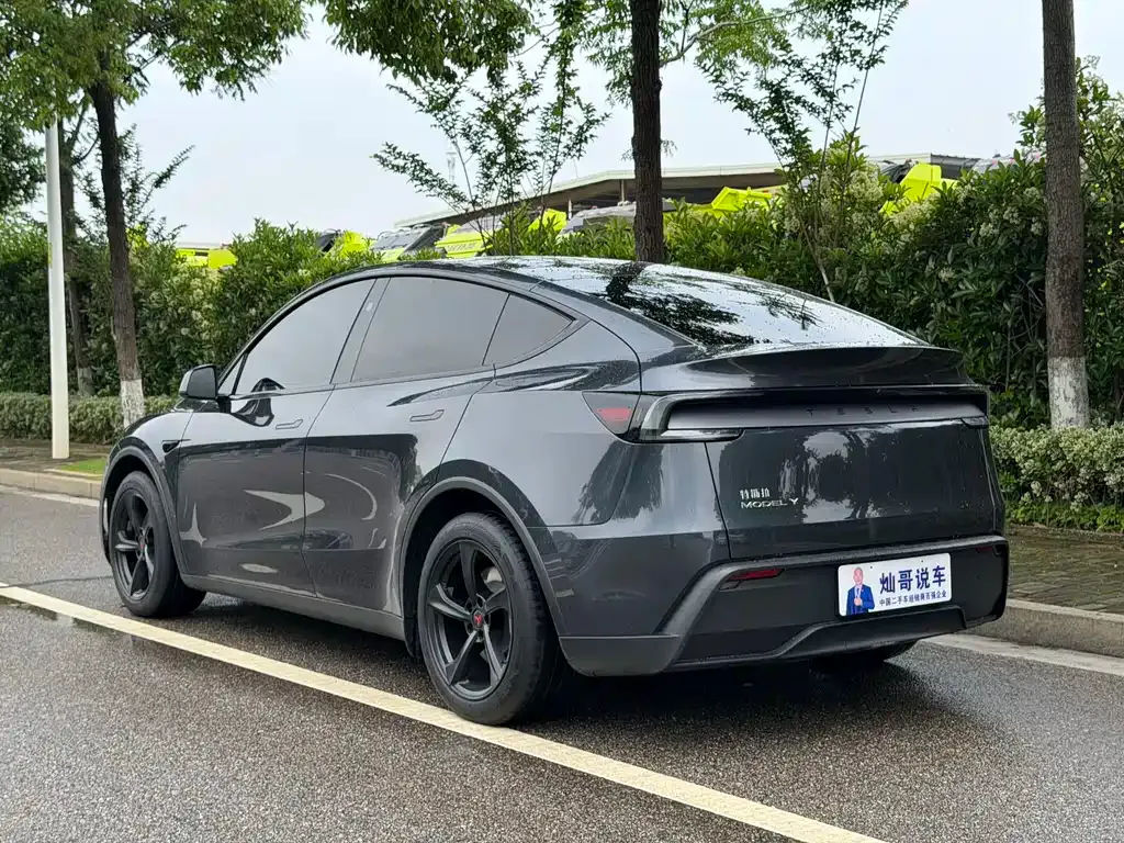 Tesla Model Y — фото 10