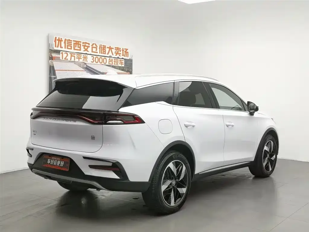 BYD Tang New Energy 2023 из CN, фото 10