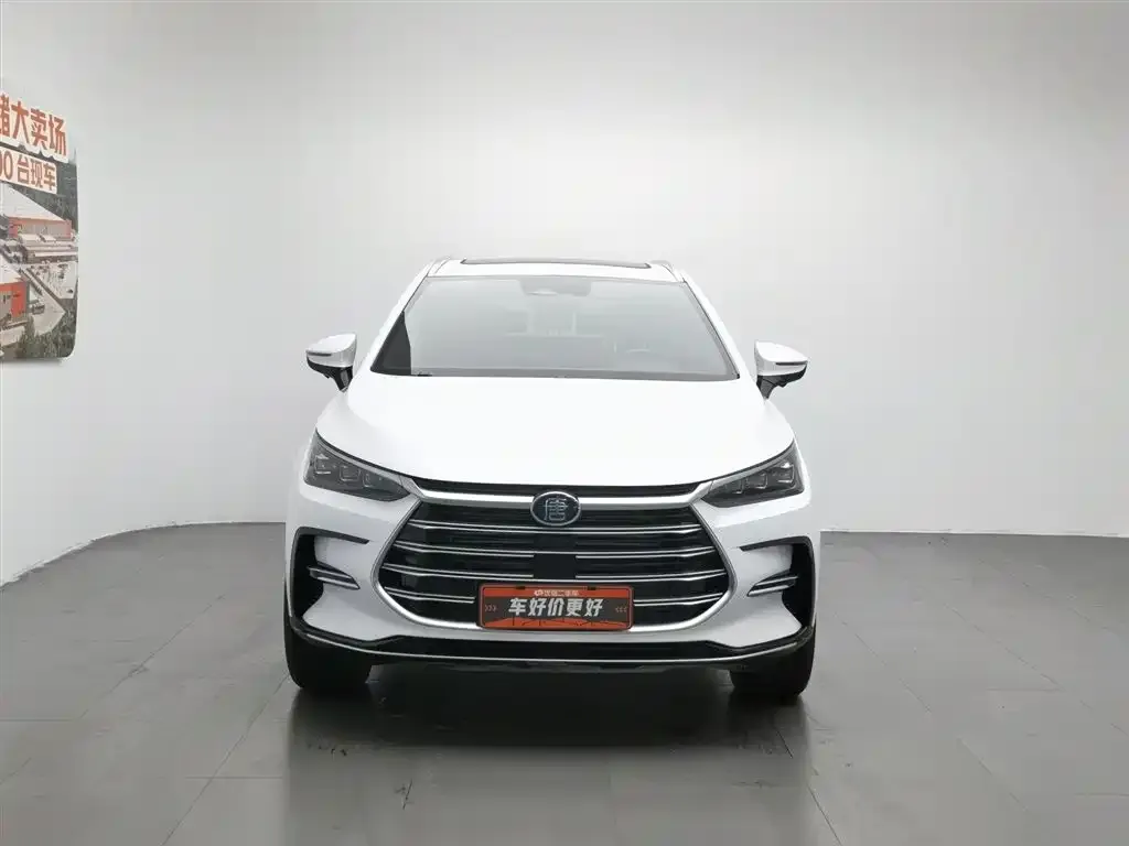 BYD Tang New Energy 2023 из CN, фото 4