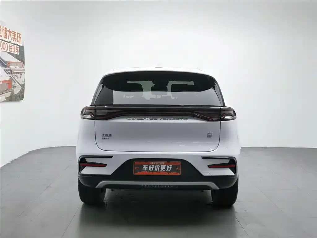 BYD Tang New Energy 2023 из CN, фото 3