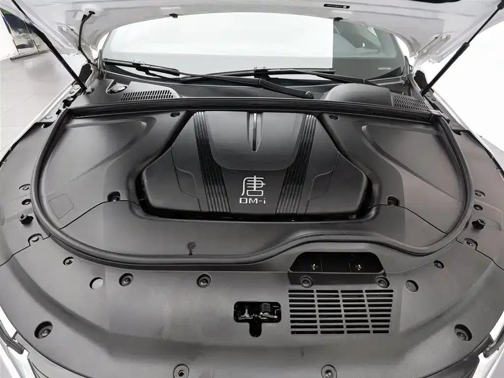 BYD Tang New Energy 2023 из CN, фото 8