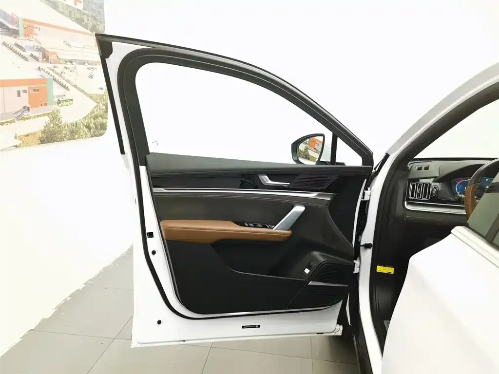 BYD Tang New Energy 2023 из CN, фото 9