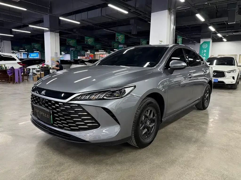 BYD Qin PLUS — фото 1