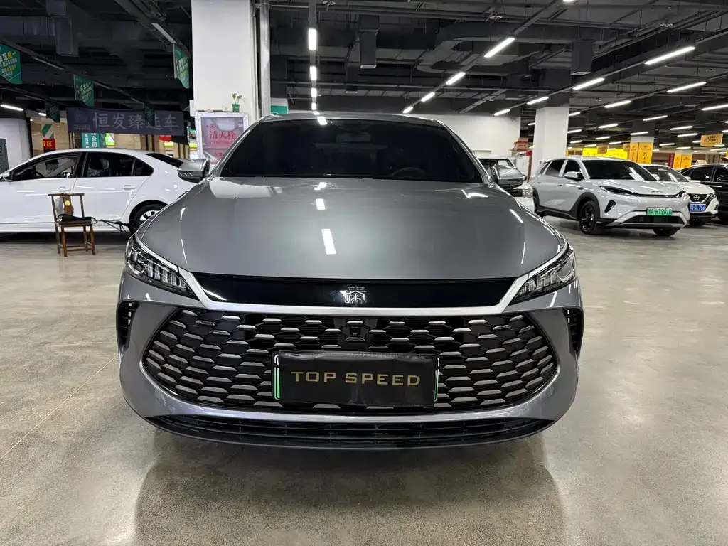 BYD Qin PLUS — фото 9