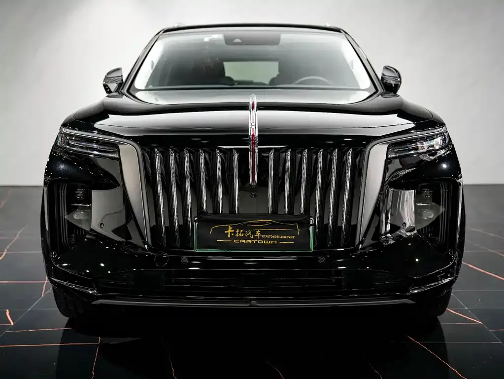 Hongqi E-HS9 2022 из CN, фото 1