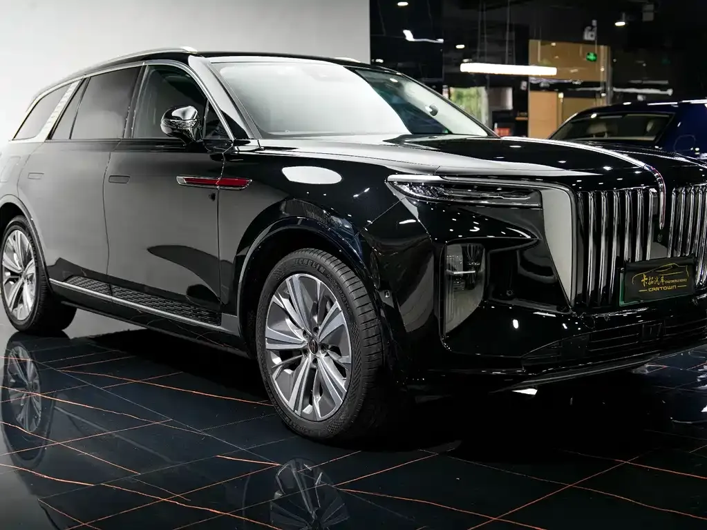 Hongqi E-HS9 2022 из CN, фото 6